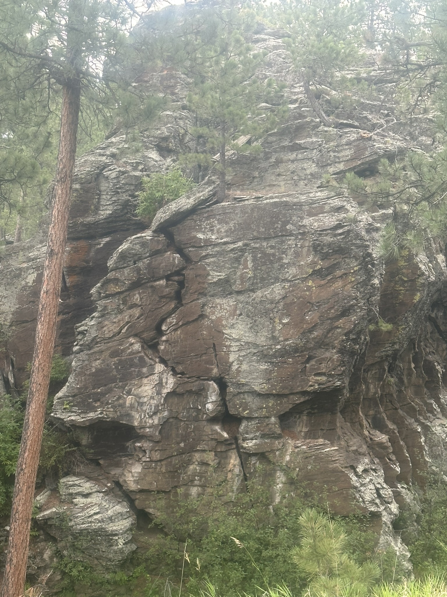 South Dakota - Image 229